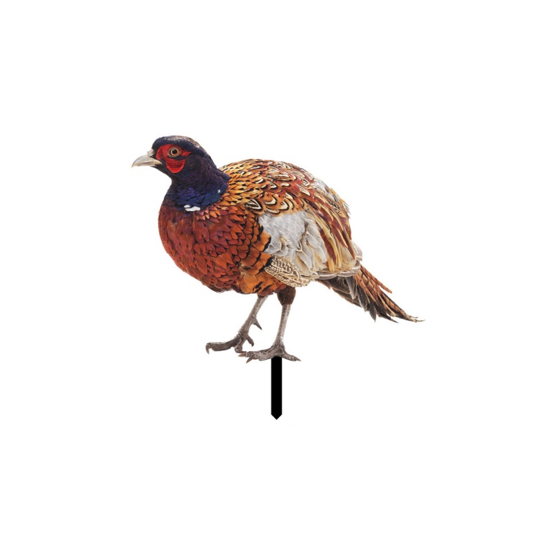 Mô Hình Tượng Động Vật Pheasants Dùng Trang Trí