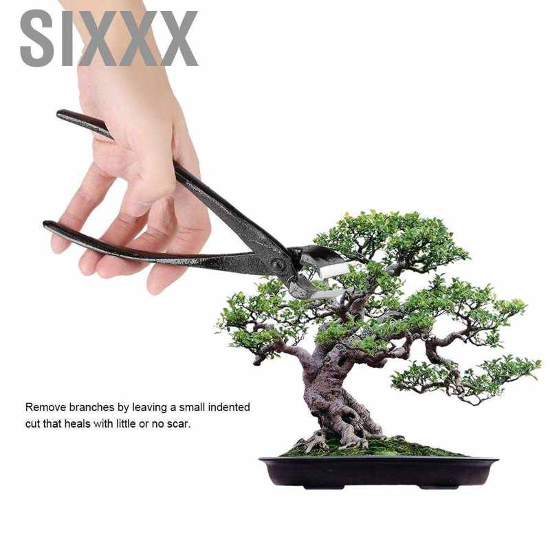 Dụng Cụ Cắt Tỉa Cây Bonsai 205mm