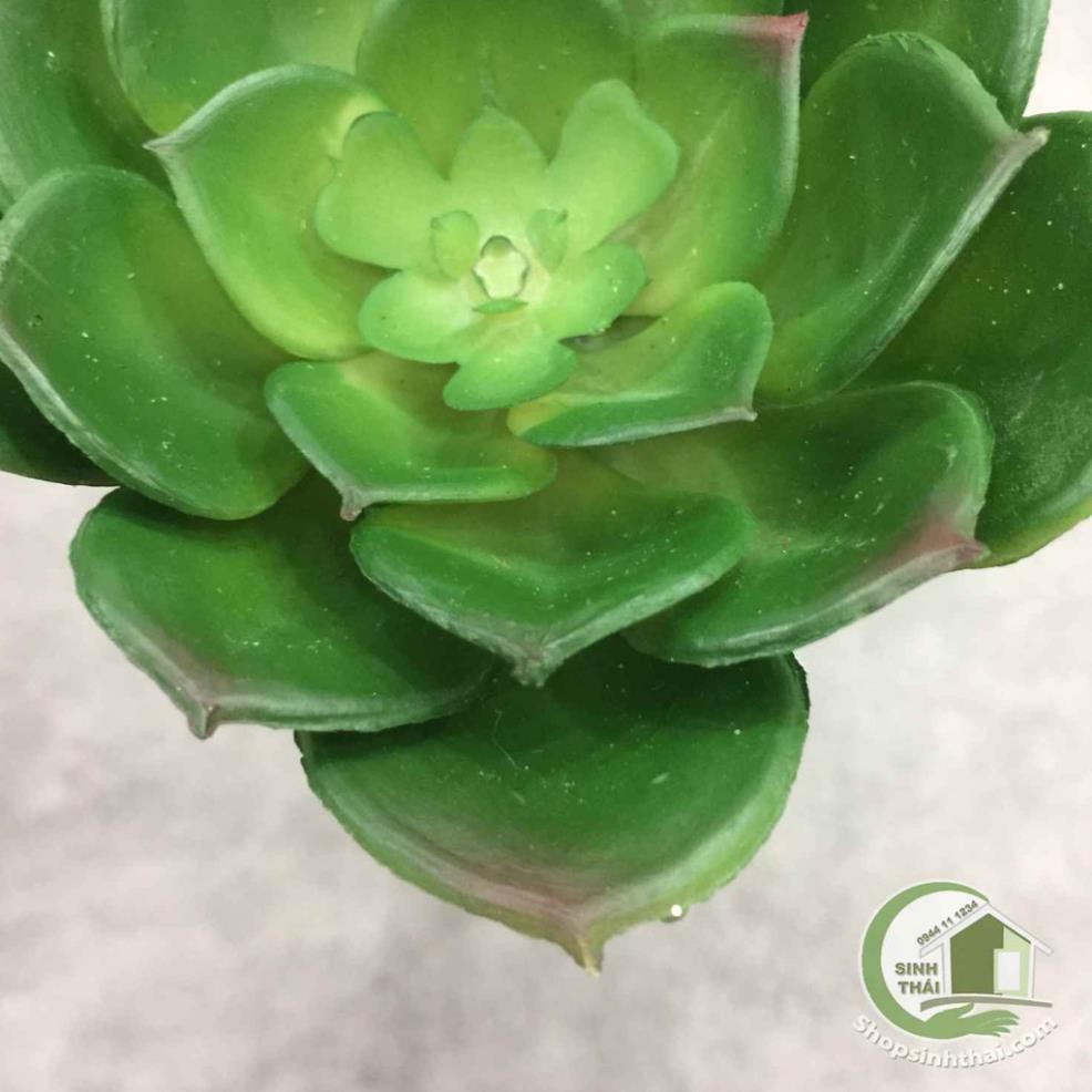 [ Loại lớn ] Hoa sen đá giả - cây sen đá hoa hồng bằng nhựa dẻo