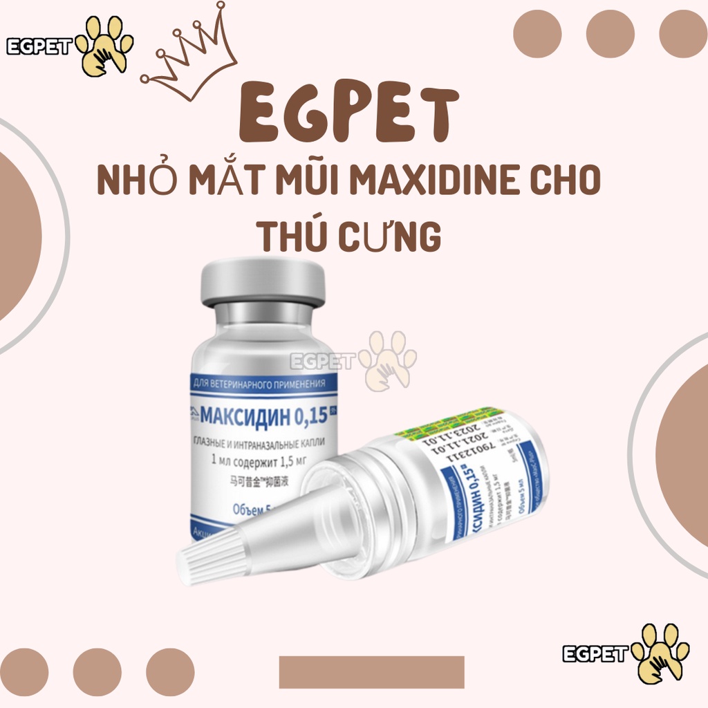 Nhỏ mắt mũi cho chó mèo Maxidine 0.15 nhập Nga, nhỏ mắt mũi chó mèo Herpes, viêm giác mạc, sổ mũi, chảy nước mắt