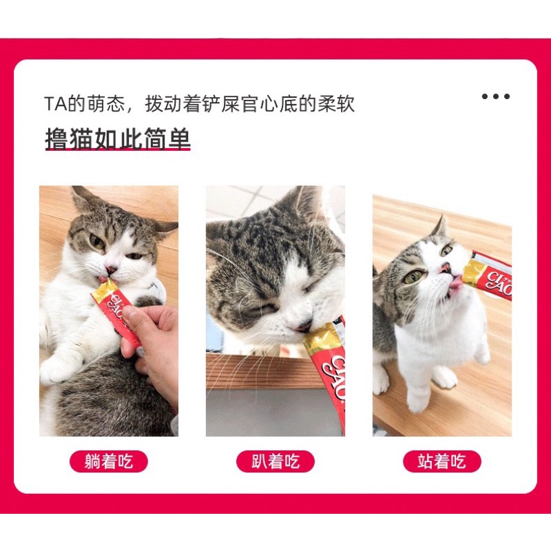 Súp thưởng cho mèo Ciao Churu Soup Thưởng Cho Mèo Tăng cân NourseVietnam