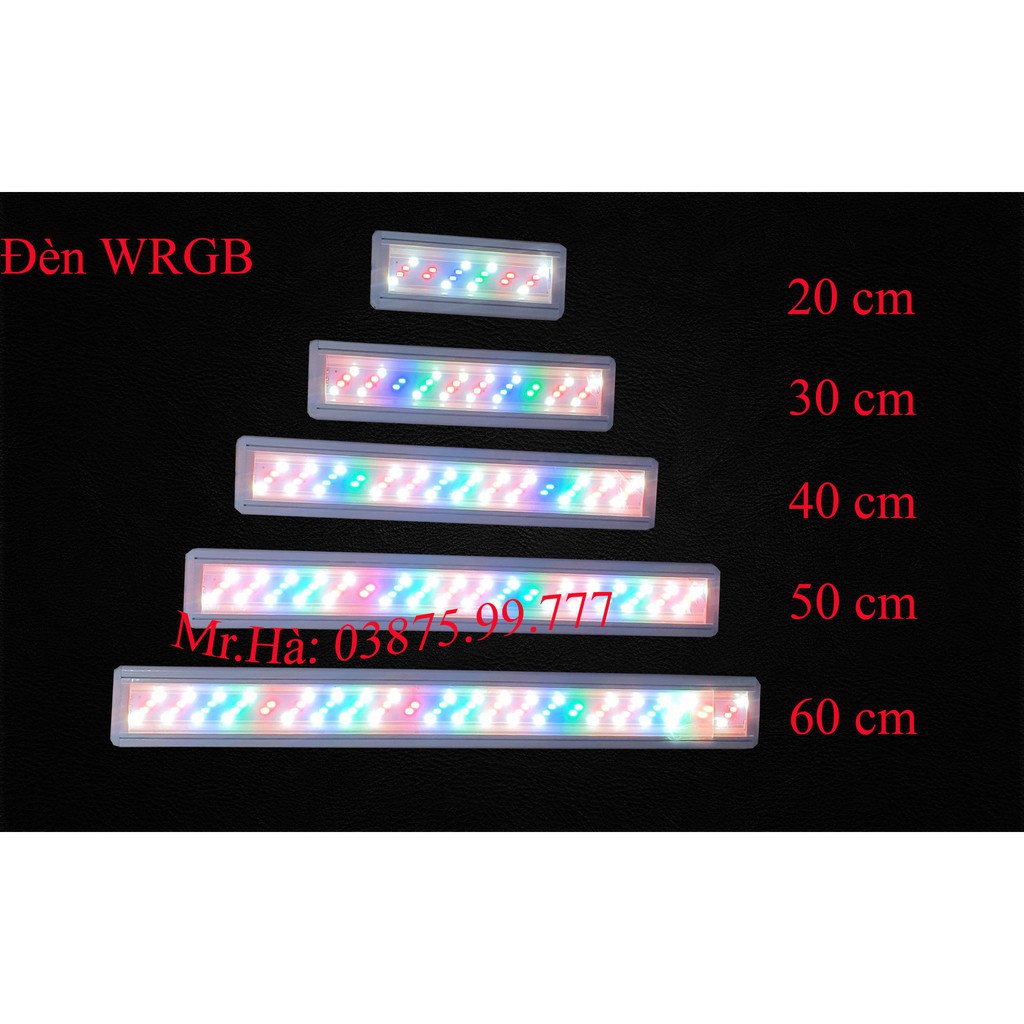 Đèn bể cá ❤️FREESHIP❤️ Đèn led máng dành cho bể thủy sinh 20cm, 30cm, 40cm, 50cm, 60cm, Tiết Kiệm Điện Bảo Hành 1 Năm