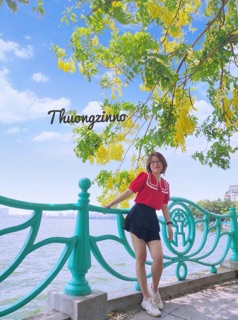 [Ảnh thật/Video] Sơ mi cổ điệu nhiều màu