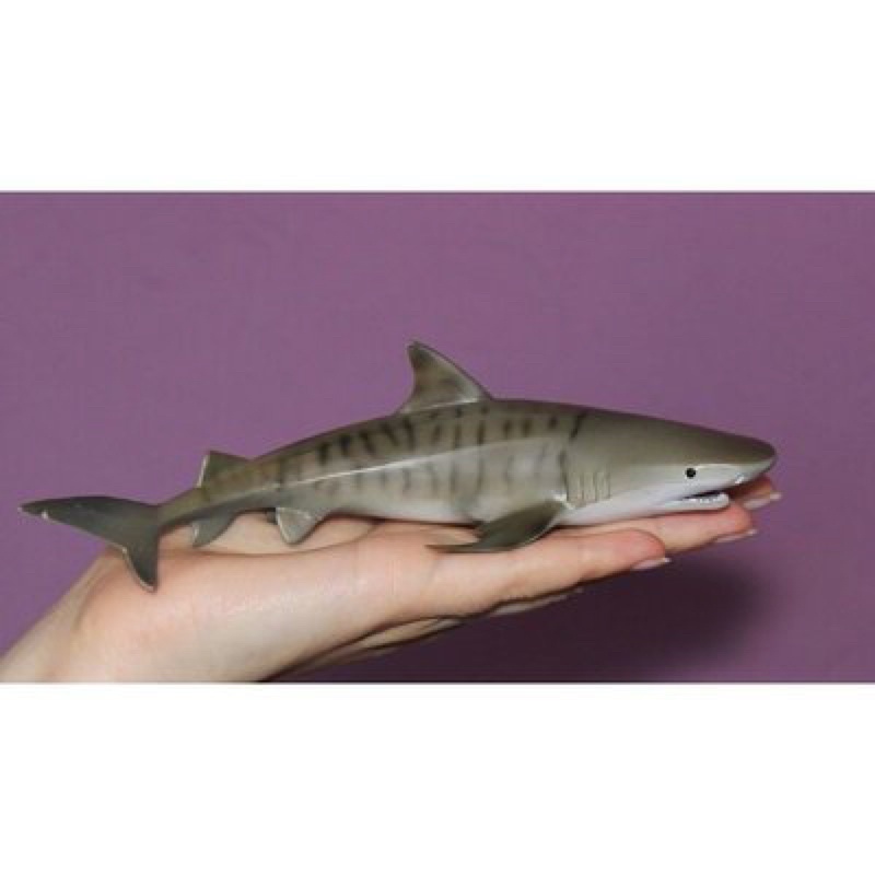 Mô hình động vật , đồ chơi con vật CollectA chính hãng Cá mập hổ 88661 - Schleich House