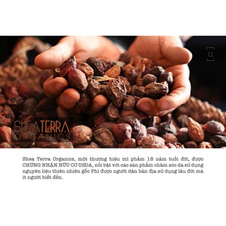 Tẩy Da Chết Body - Shea Terra