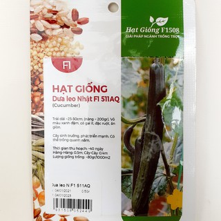 Hạt giống dưa leo Nhật F1