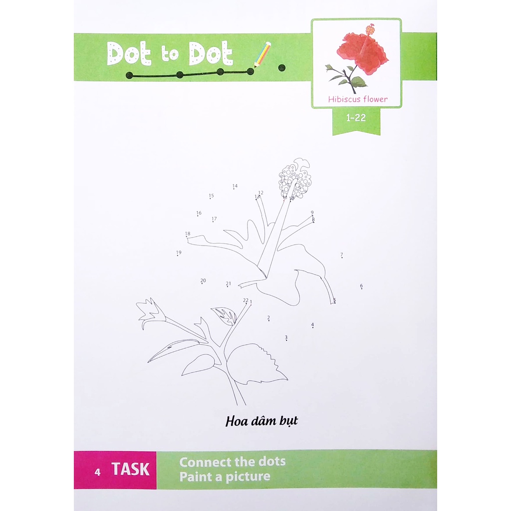 Sách Dot To Dot Coloring Book - Nối Số &amp; Tô Màu - Các Loài Hoa