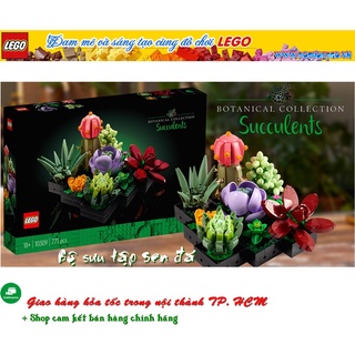 10309 Đồ chơi lắp ráp Iego Creator Expert Succulents - Đồ chơi xếp hình Sen đá