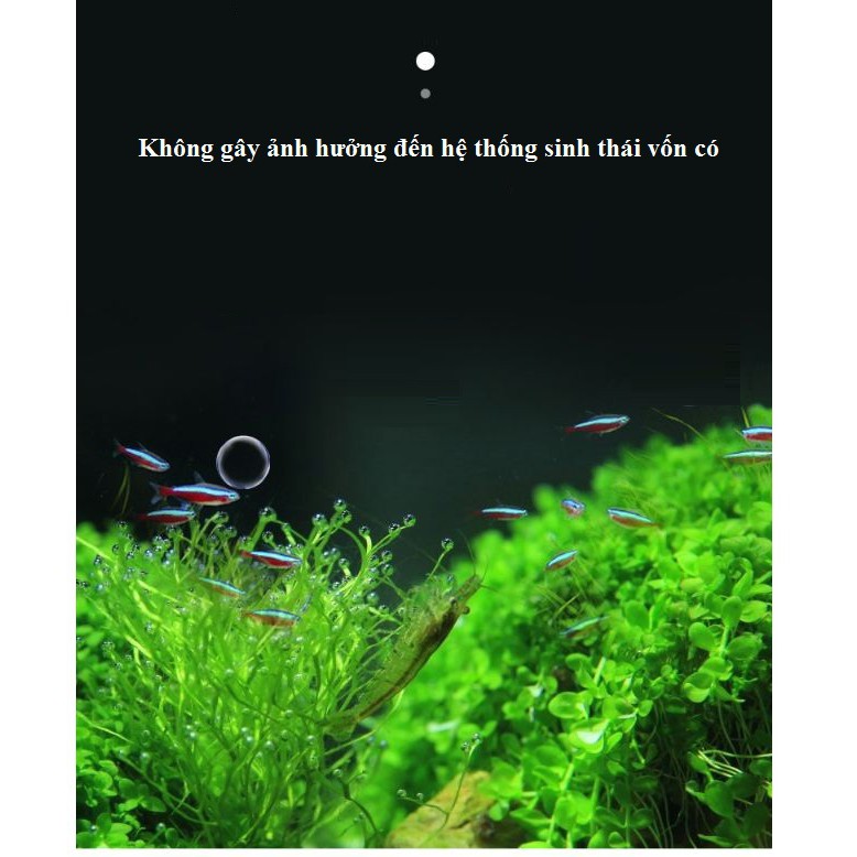Dung dịch làm trong nước bể cá Clarifying