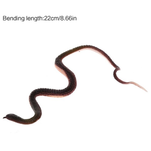 💥 Đồ chơi rắn giả bằng cao su💥CÓ SẴN💥CHỌN MẪU💥FOLLOW TẶNG 3K]💥VOUCHER 100K💥