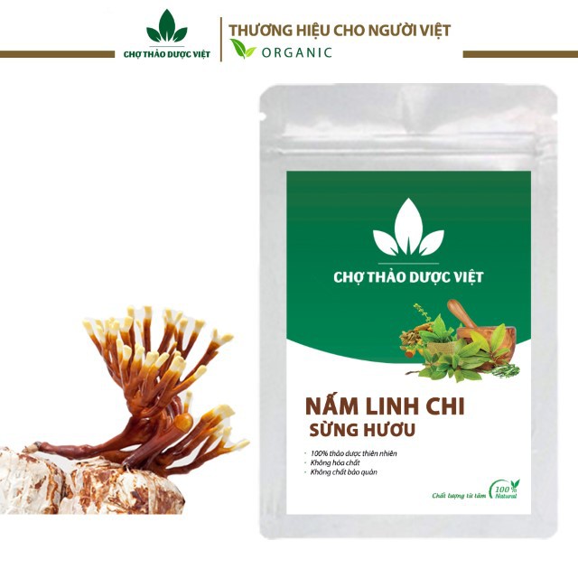 Nấm Linh Chi Sừng Hươu 1kg (Nấm Sừng Hươu)