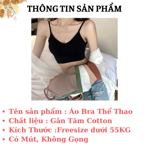 Áo Bra Tập Gym Gân Tăm - Áo Ngực Mút Mỏng Không Gọng - Bra Nữ Hở Lưng AMY BRA B367