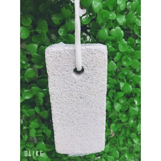 CỤC CHÀ GÓT CHÂN