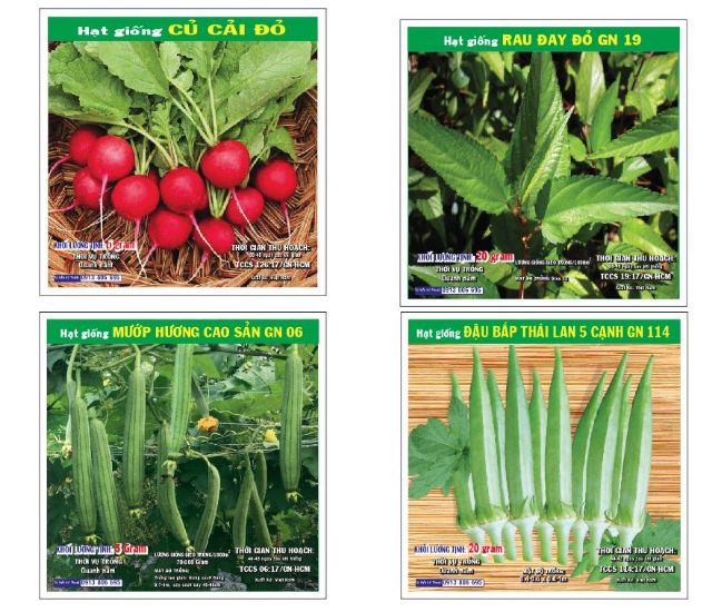 Hạt giống rau xà lách, rau thơm, cải các loại