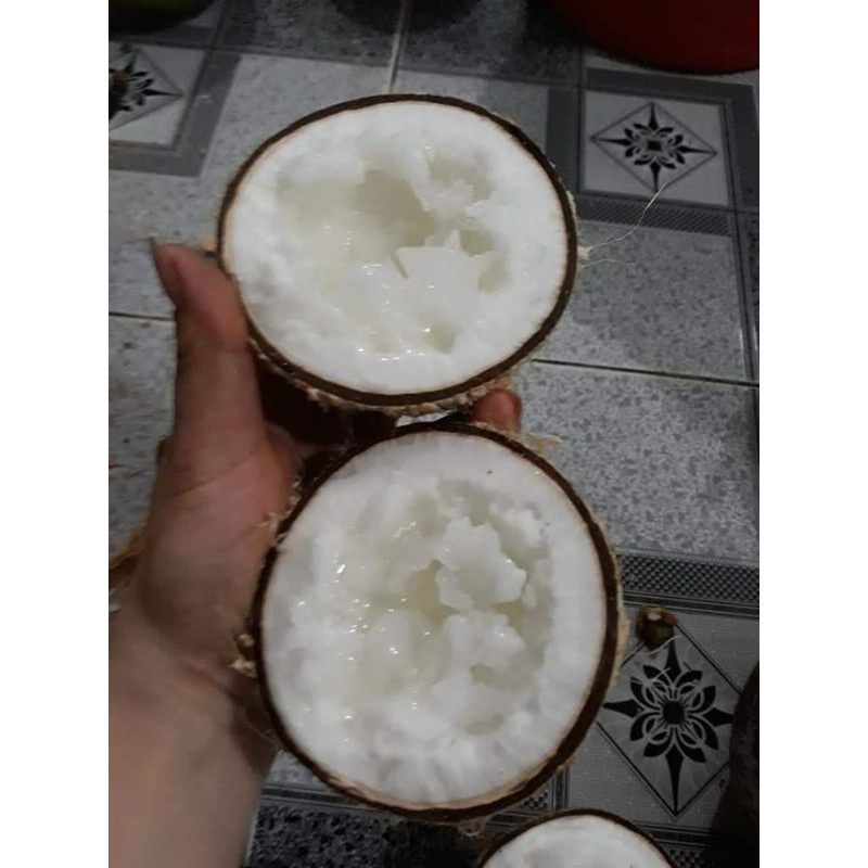 Combo 3 trái Dừa sáp Bi 500g 2 phần ăn