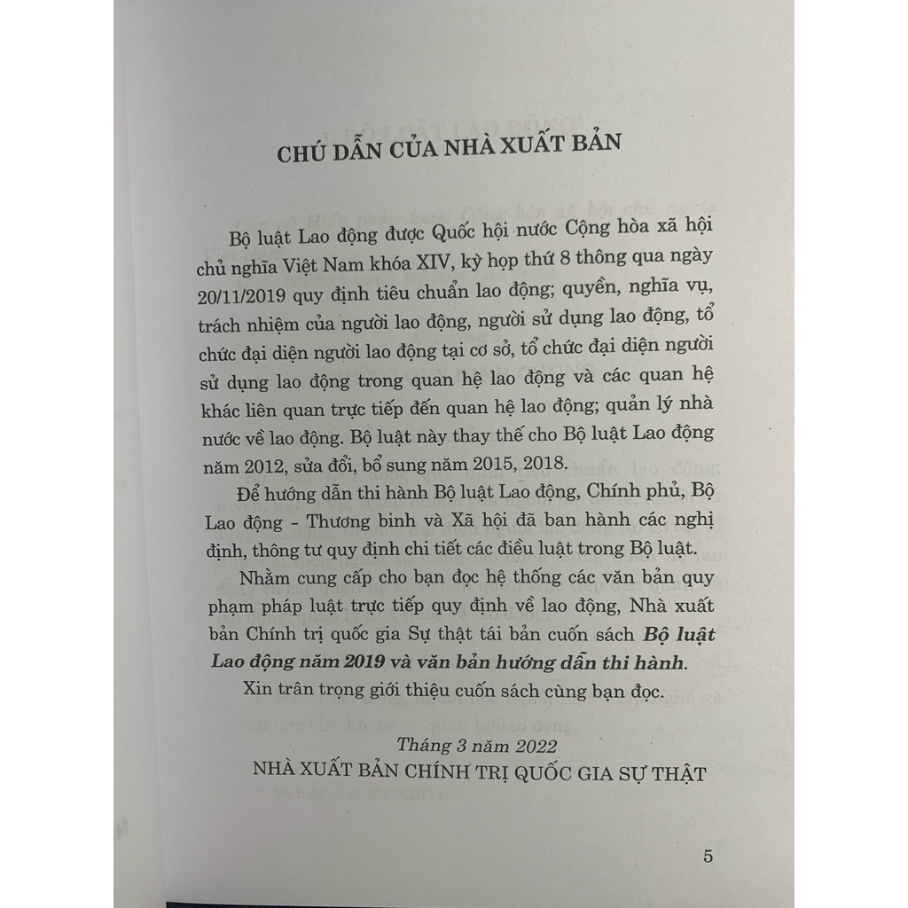 Sách - Bộ Luật Lao Động Năm 2019 Và Văn Bản Hướng Dẫn Thi Hành