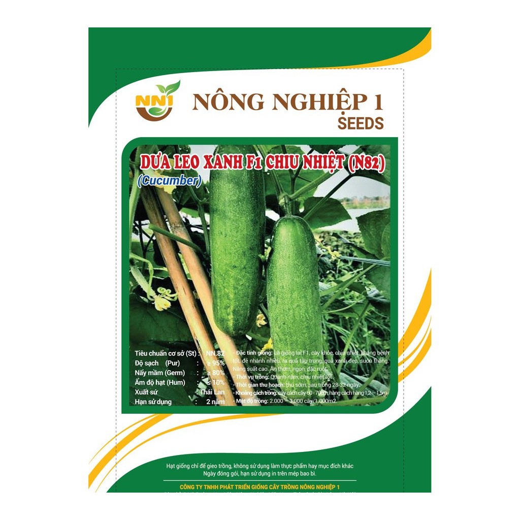 Hạt giống Dưa leo xanh F1 chịu nhiệt Thái Lan N.82_Dưa chuột siêu quả giống mới