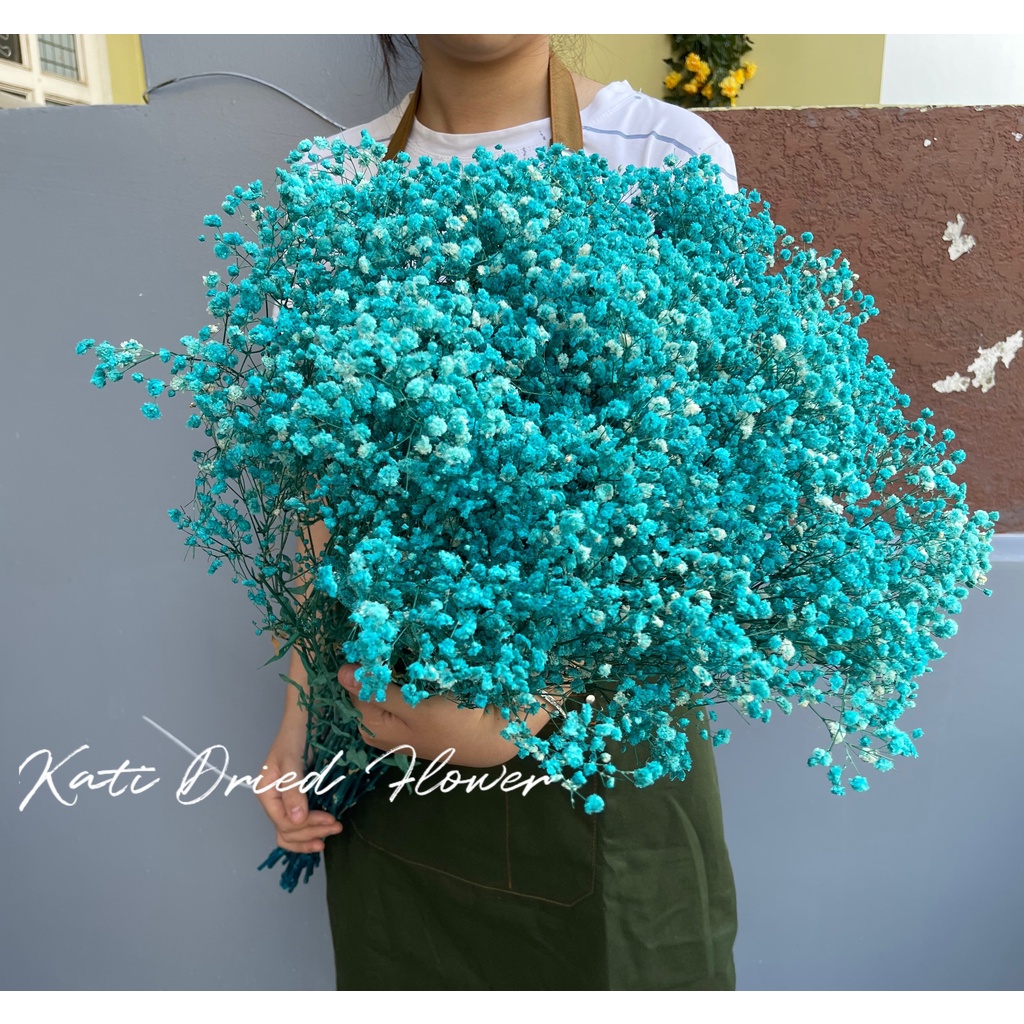 Hoa baby khô Hoa khô quà tặng decor trang trí