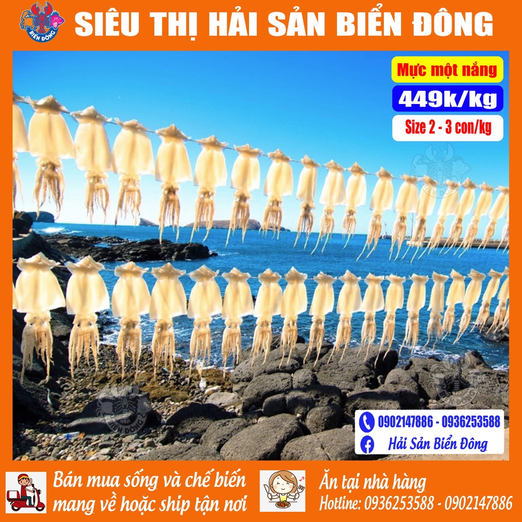 MỰC MỘT NẮNG size 2-3 con/kg có hỗ trợ sơ chế, sản phẩm của Hải Sản Biển Đông ở Hà Nội