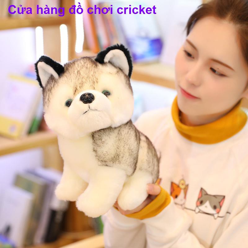 mô phỏng dễ thương búp bê husky đồ chơi sang trọng cún con Erha nhỏ món quà sinh nhật cô gái