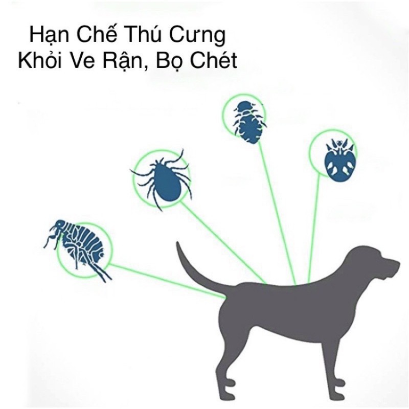 Vòng cổ chống rận cho chó mèo mùi hương thảo dược không độc hại - Flea And Tick Collar