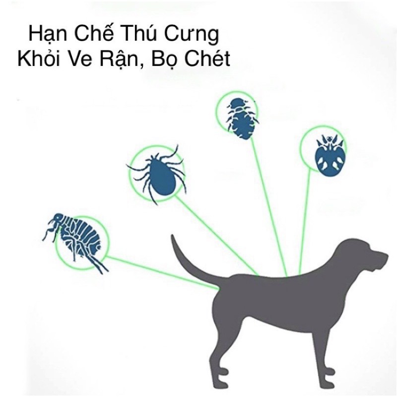 Vòng cổ trị rận cho chó mèo mùi hương thảo dược không độc hại - Flea And Tick Collar