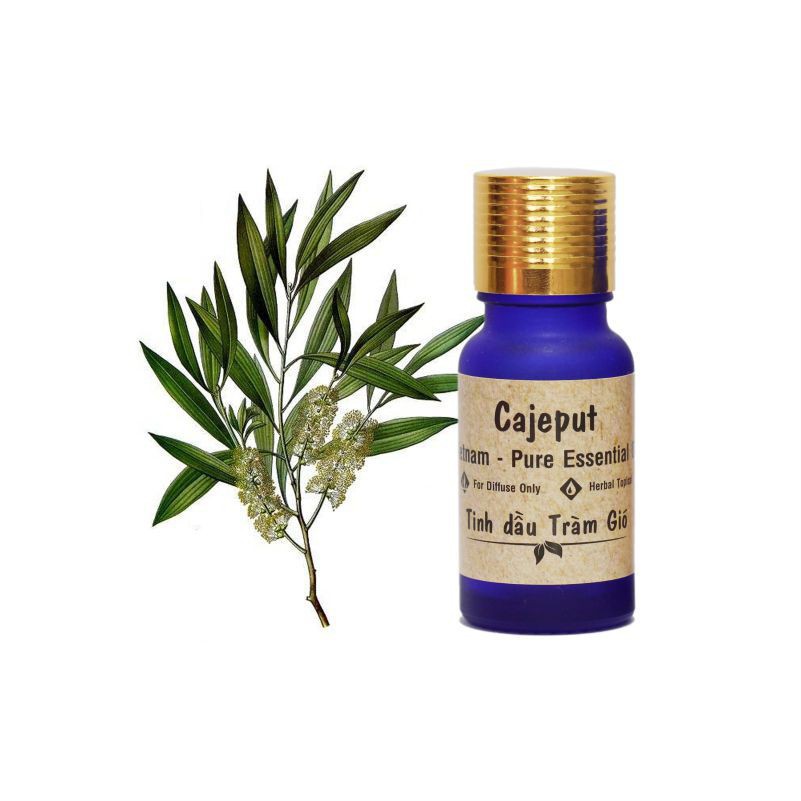 Tinh Dầu Tràm Gió Facare (10ml)