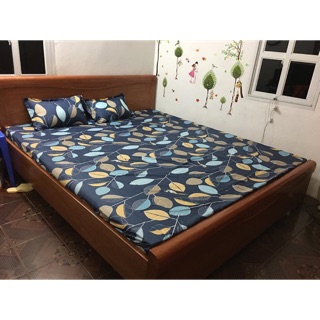 Set ga gối poly