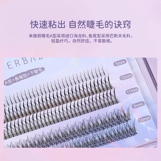 Hộp mi giả tách sợi Everbab