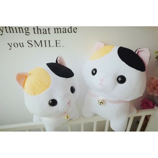 Gấu Bông Mèo Con