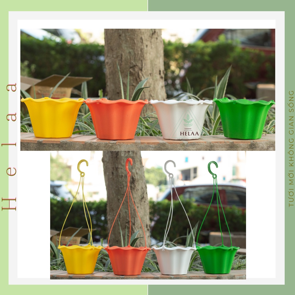 Chậu Treo Ban Công, Chậu treo Trồng Cây Vành Bèo, Trồng Hoa, Cây Cảnh Kèm Dây Treo - Dày Đẹp 22x13cm