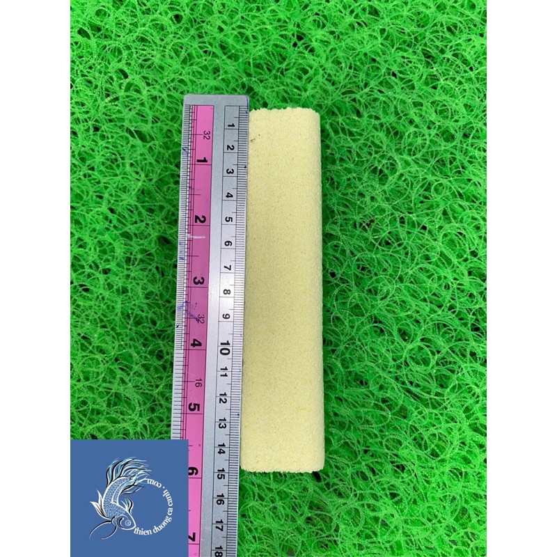 Sứ Thanh Hoa Mai - Kích Thước 15cm x 3,5cm