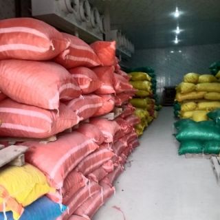 Hạt Óc Chó 500g