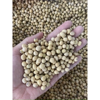 Đậu nành ngon daklak 300gram