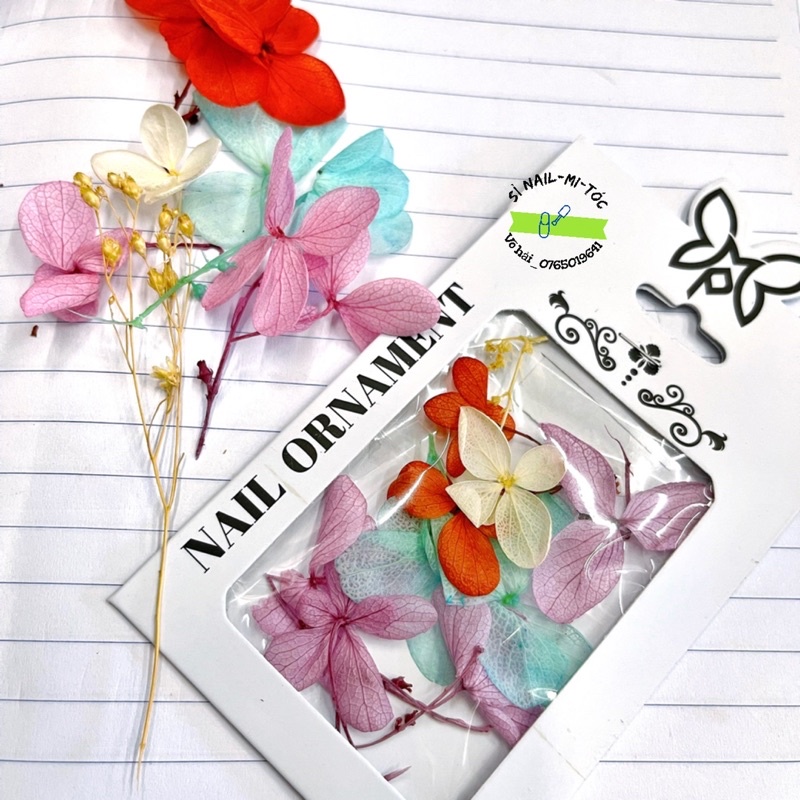 phụ kiện nail hoa khô trang trí móng