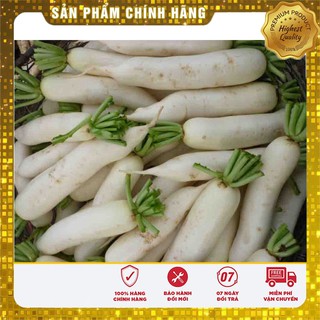 Hạt Giống Củ Cải Trắng(20gr)