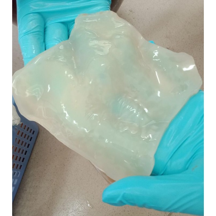 Con Giấm  Nuôi Dày Mập Ú THANH THANH