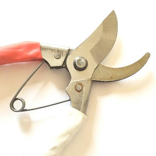 Kéo Cắt Cành lưỡi cong 200mm