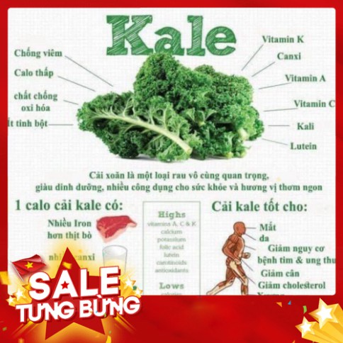 Giá rẻ nhất  Mì rau cải Kale Organic gói 500g (18 vắt mì)