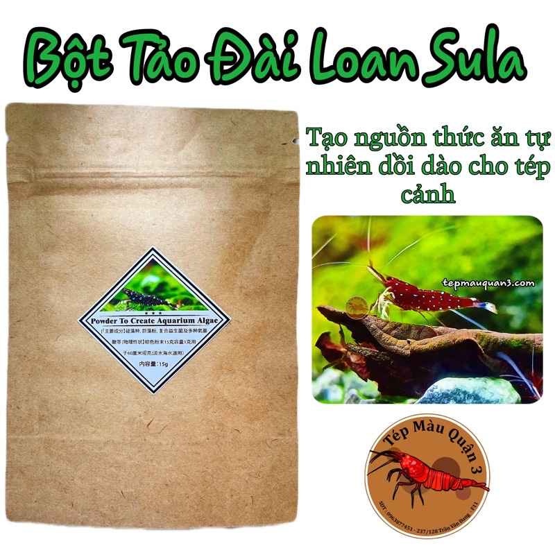 Mầm Kích Tảo Thức Ăn Tự Nhiên Cho Hồ Sula - Tép Cảnh