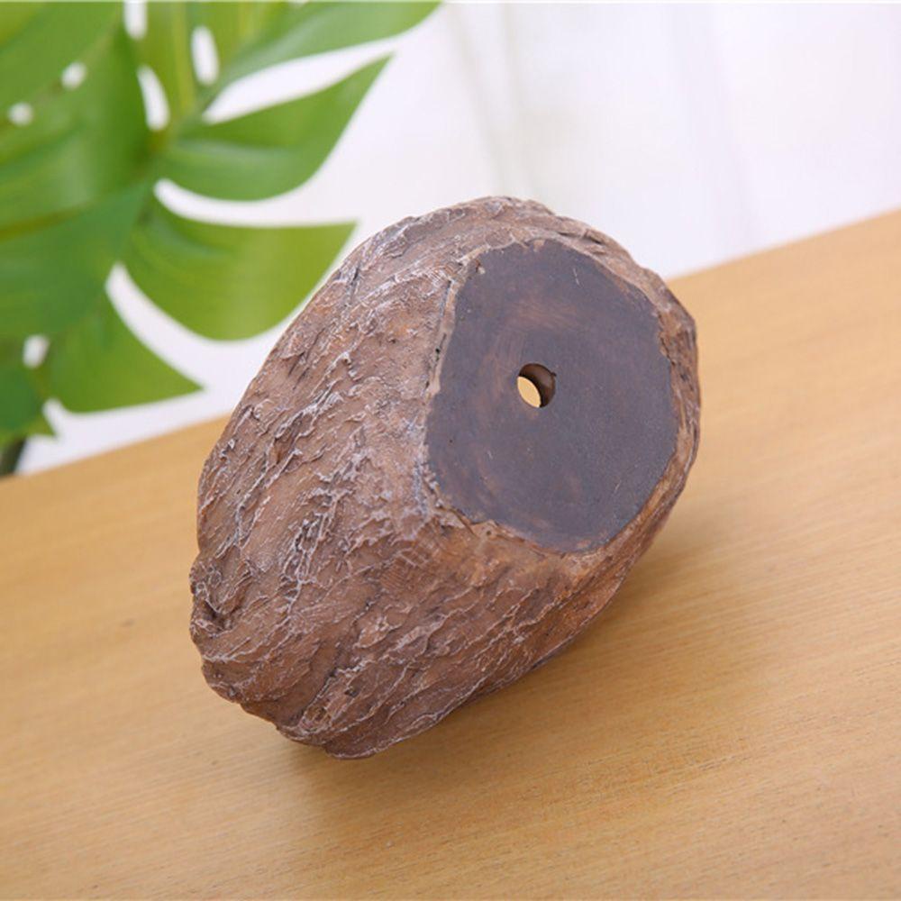 LET Chậu Hoa Hình Rùa Sáng Tạo Trang Trí Sân Vườn