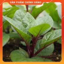 VNUA -  HẠT GIỐNG MÙNG TƠI ĐỎ GÓI 2,5 GRAM