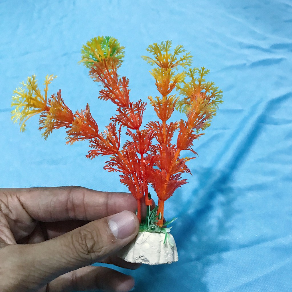 COMBO 10 RONG TRANG TRÍ HỒ CÁ NON BỘ SIZE 13CM