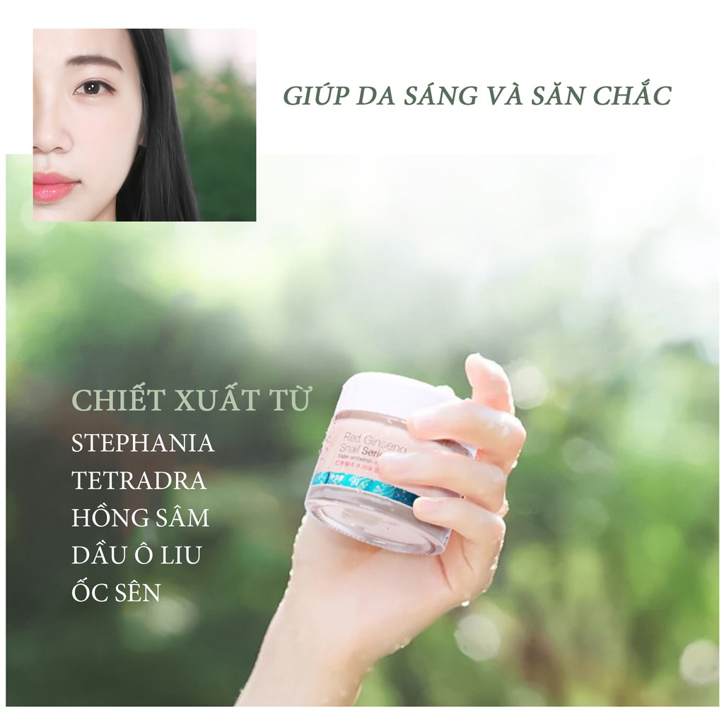 KEM  HỒNG SÂM SÁNG DA DƯỠNG ẨM SOONPURE 60g S142800117