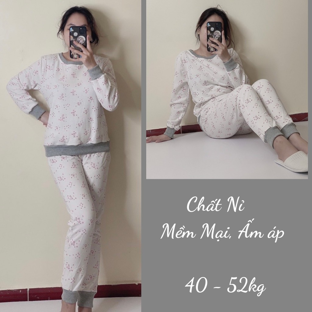 Đồ Bộ Thun Cotton Dài Mặc Ở Nhà Nữ - Bộ Quần Áo Ngủ Nữ Dài Tay Mặc Nhà Thu Đông Bigsize, Nhiều Mẫu Dễ Thương