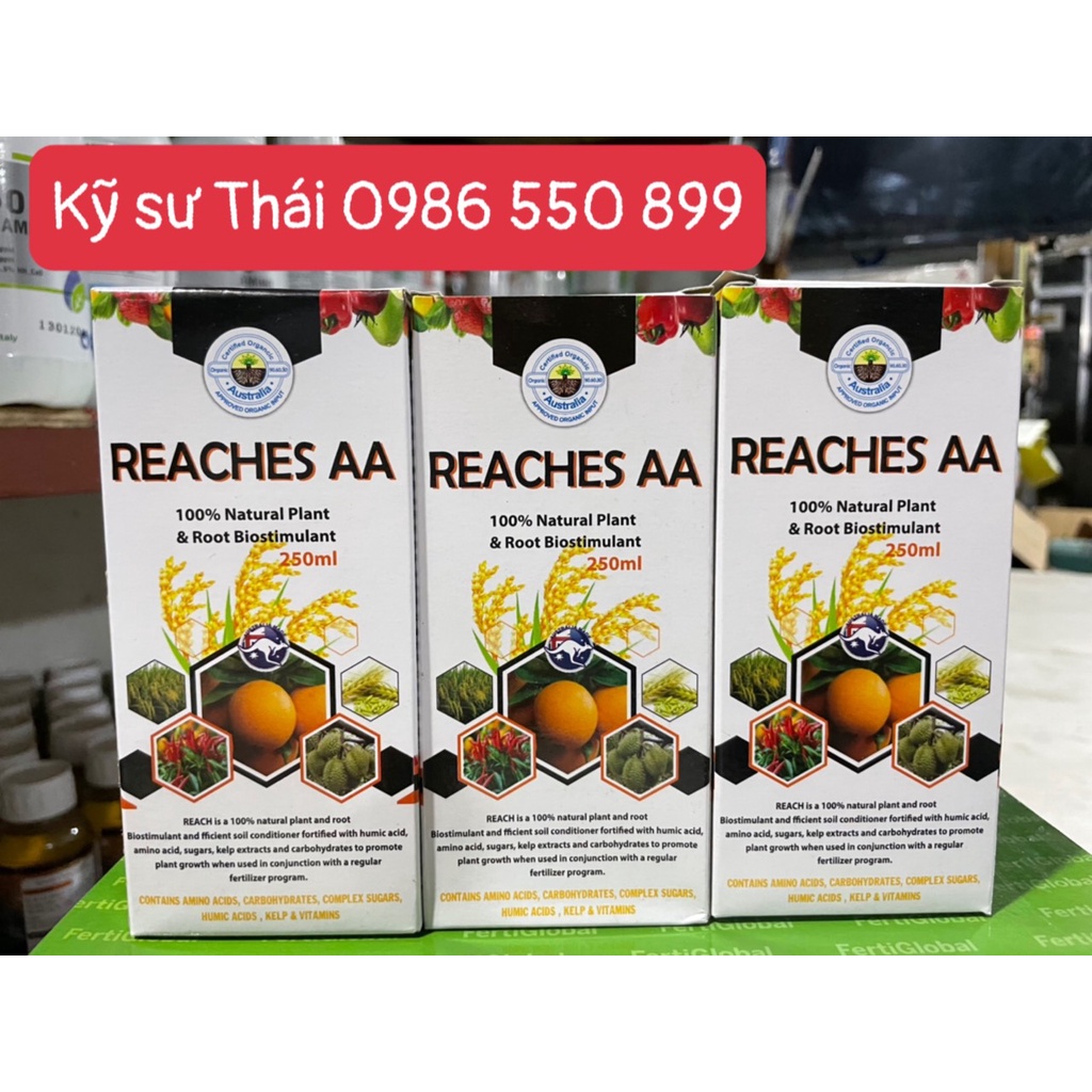 REACHES AA - AMINO ACID NHẬP KHẨU TỪ AUSTRALIA