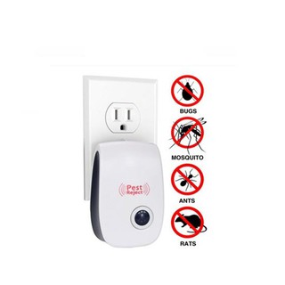 Máy đuổi côn trùng Thạch Sùng cũng chết