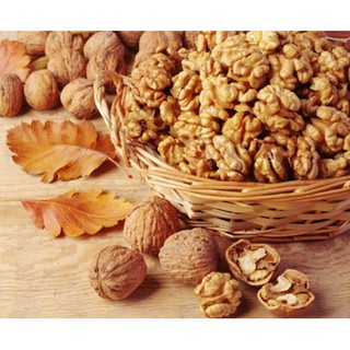 Nhân hạt óc chó tươi, nhân óc chó chuẩn Mỹ