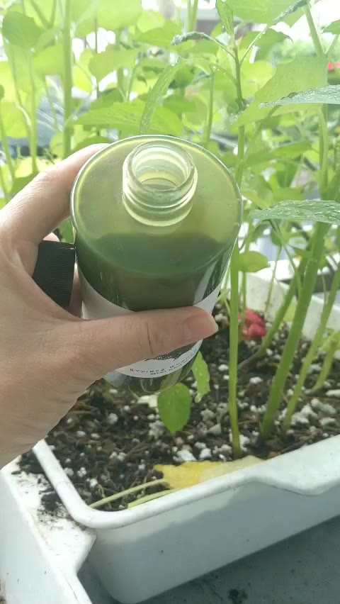 Sữa rửa mặt rau củ thải độc Super vegitoks cleanser Wonder bath 300ml | BigBuy360 - bigbuy360.vn