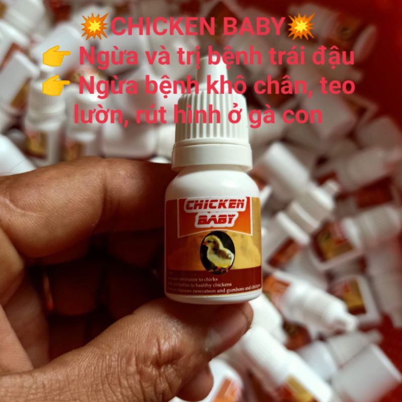 ÚM GÀ CON SIÊU ĐỈNH, CHICKEN BABY
